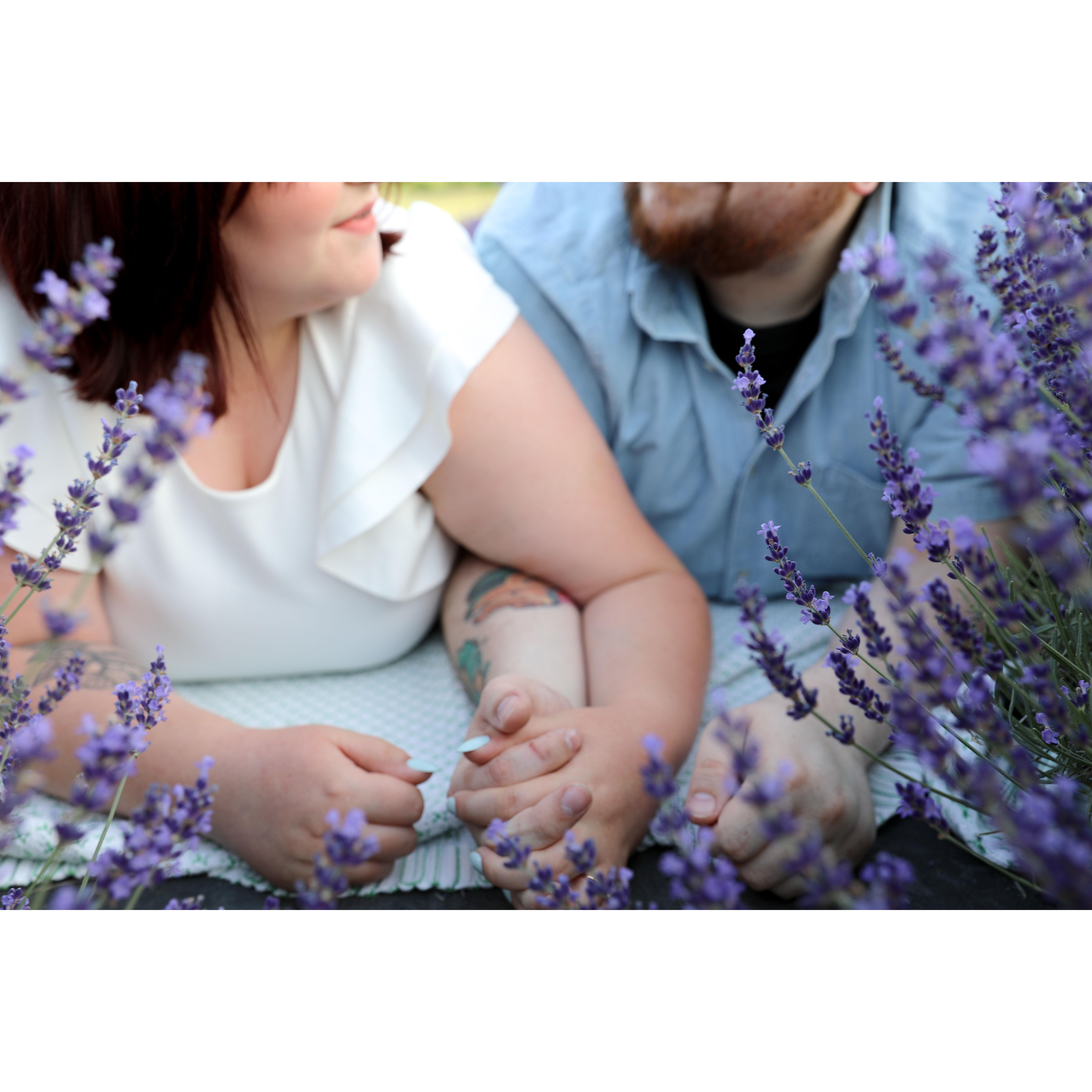 Engagement photoshoot at Sunset Ridge Lavender Farms. Photographer was Bloom Photography, LLC