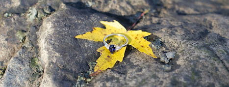 The Wedding Website of Weston Schlafke and Sarah Hamus