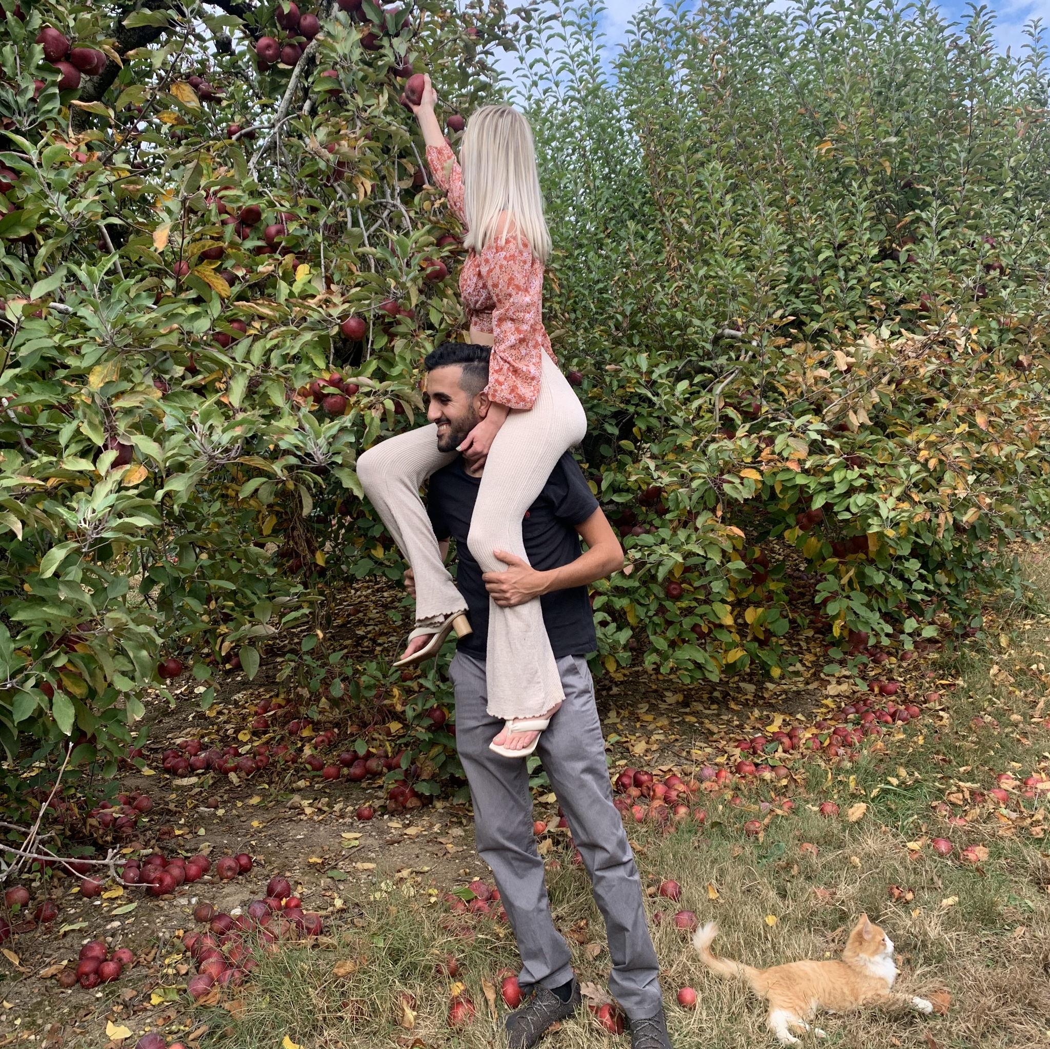 picking apples, feat. a random kitty that decided to join us!