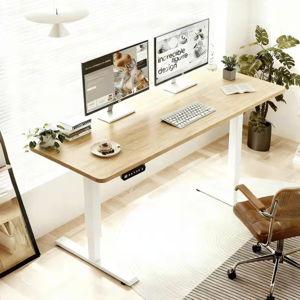 Electric Standing Desk