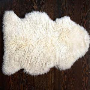Sheepskin Rug, 2x3', Ivory