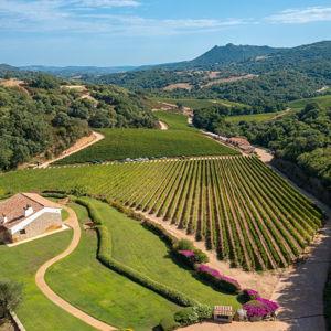 Wine Tasting For Two in Vermentino di Gallura