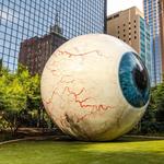 The Eye
