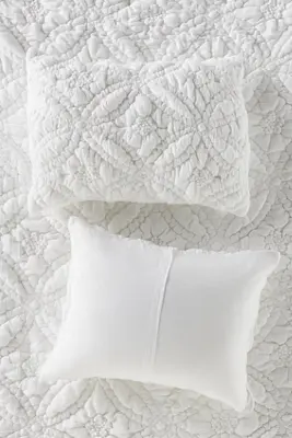 Everly Cotton Floral Shams, Set of 2