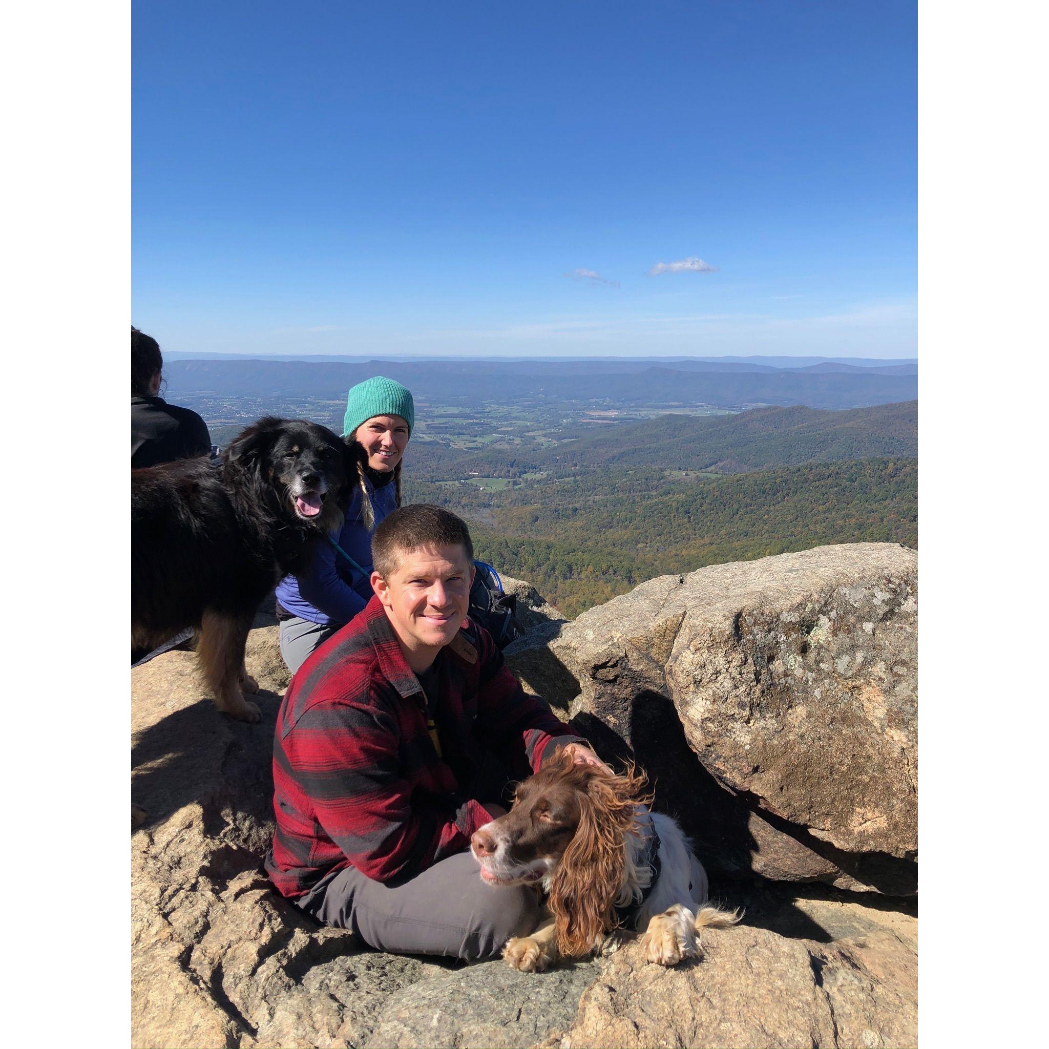 Shennandoah with the pups