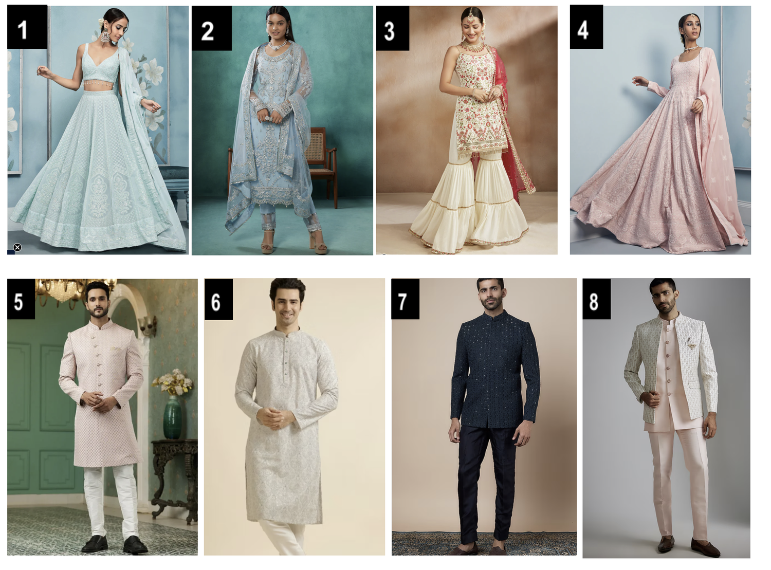 The Wedding Website of Ricki DaSilva and Nisha Kara