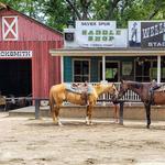 Wild West City