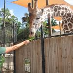 Naples Zoo