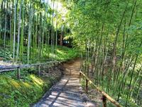 Hakone Estate and Gardens
