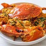 Loggerhead's Beach Grill