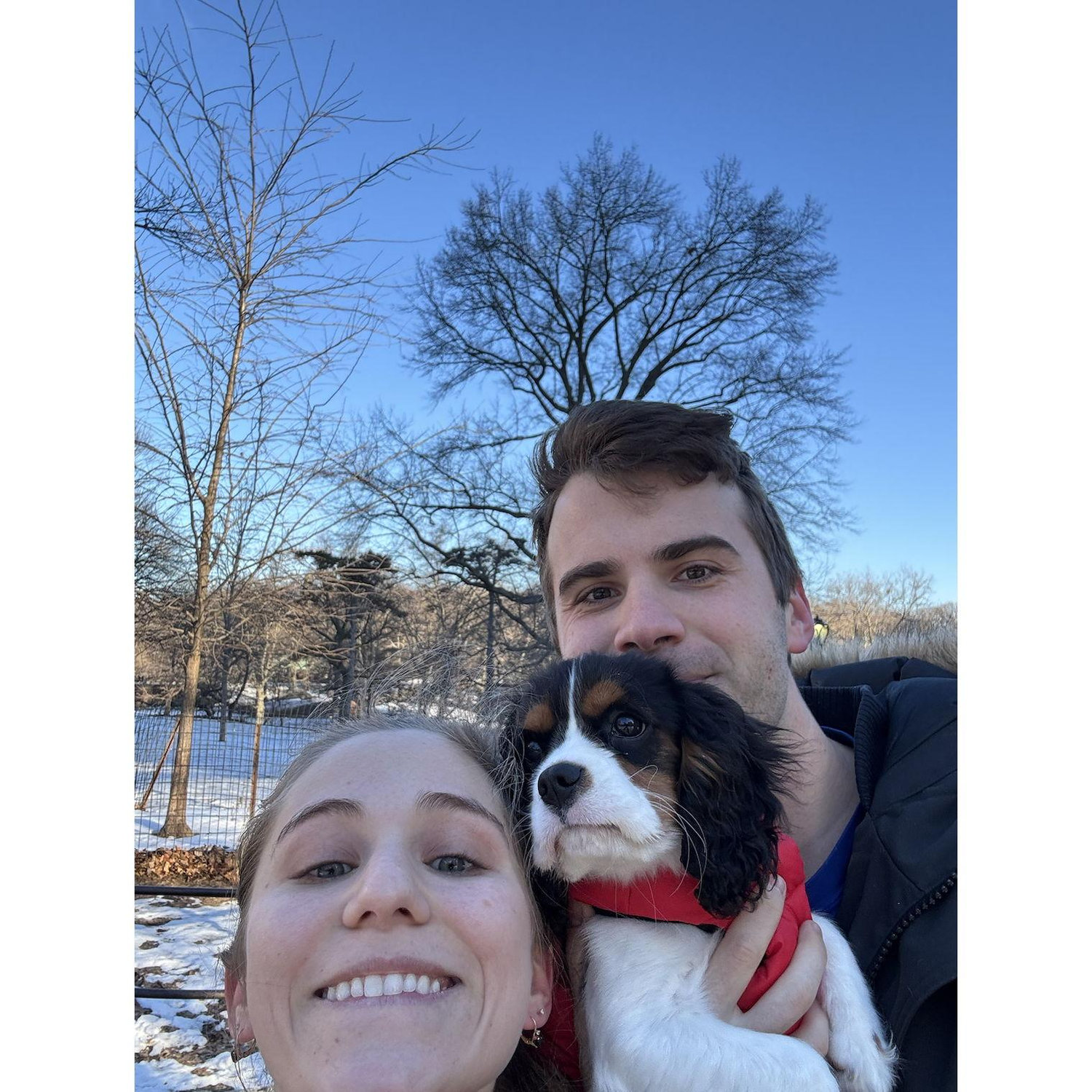 Cowboy's first walk in Central Park. He did not like the snow