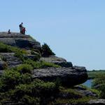 Wander through Norman Bird Sanctuary or Sachuest Point