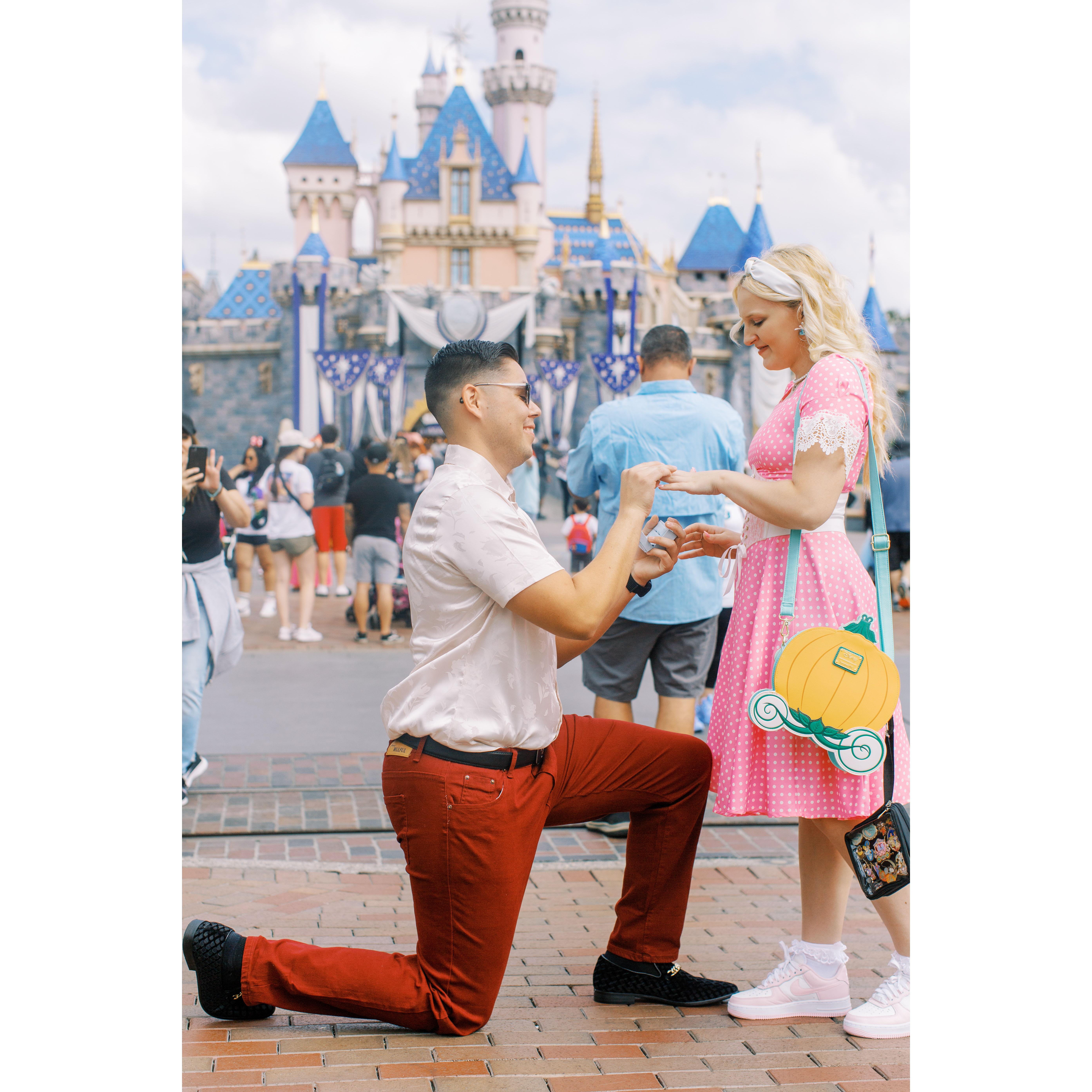 The Proposal moment! *Featuring the man in the blue shirt!