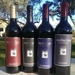 Wine Tasting