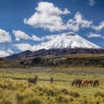 Parque Nacional Cotopaxi