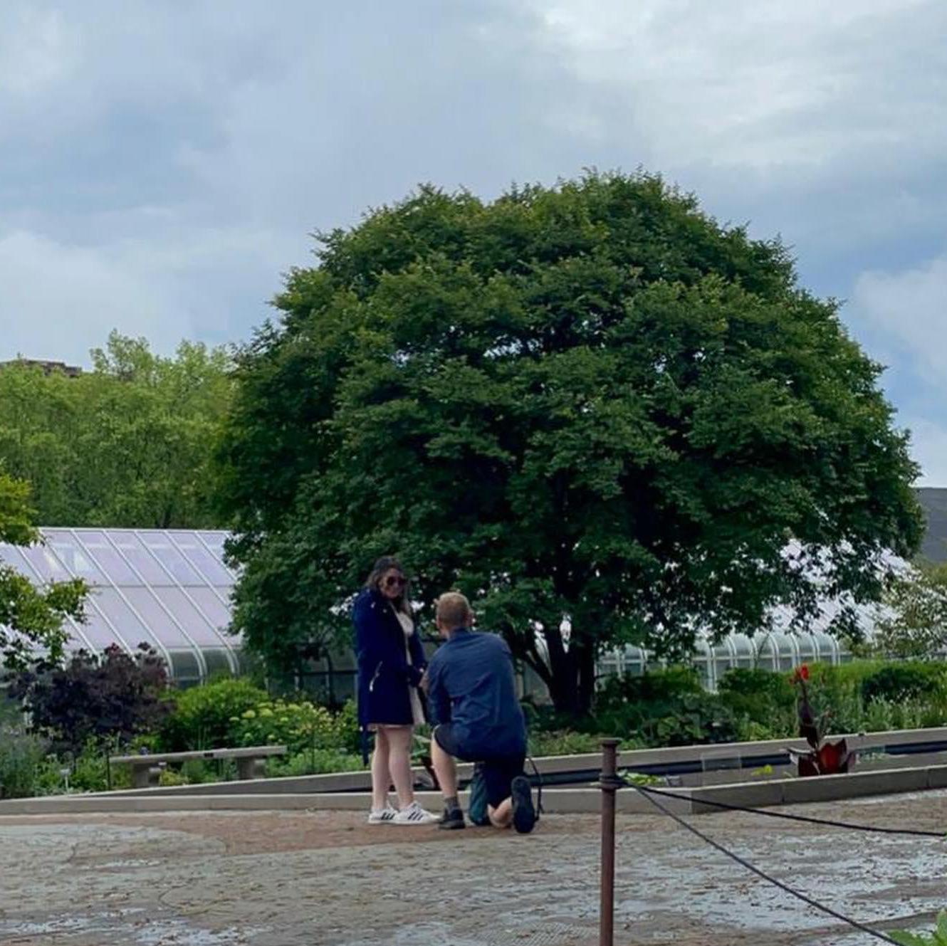 The proposal!
Brooklyn Botanical Garden