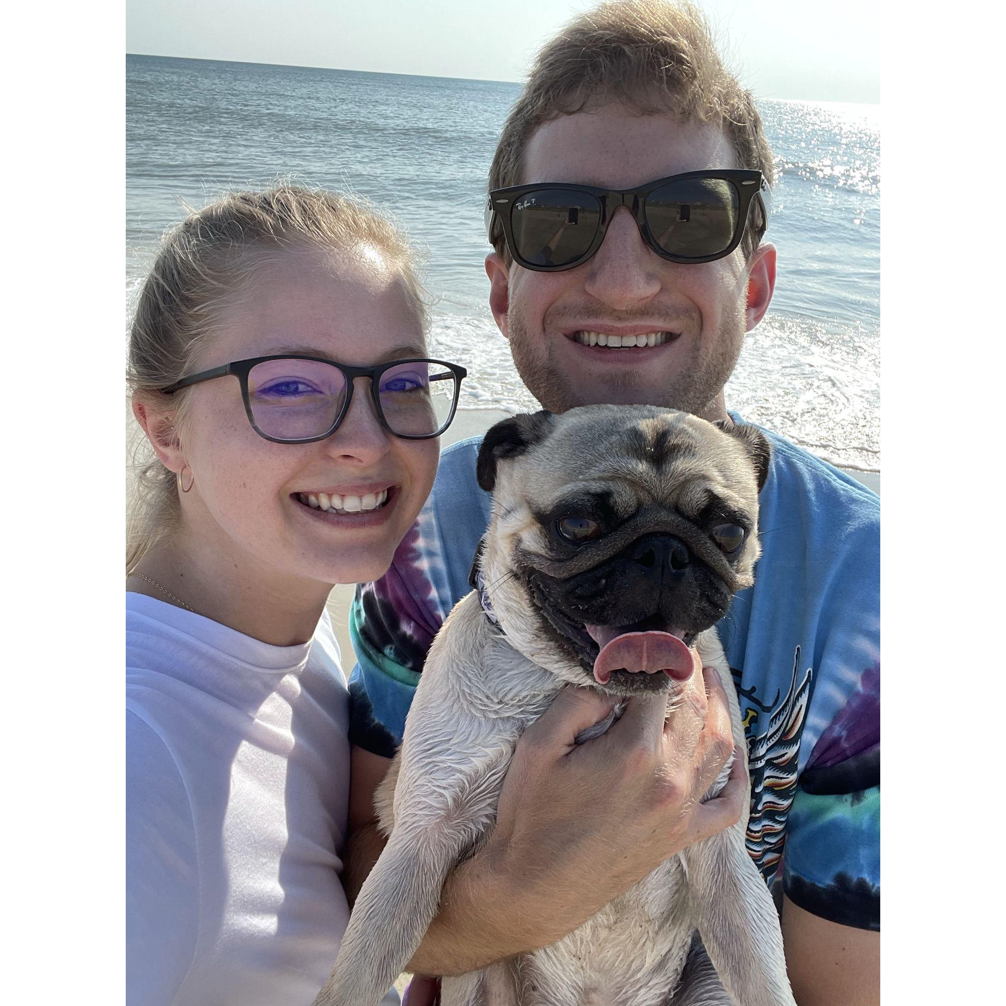 Archie's first beach trip at Duck, NC - Aug 2021