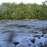 Hike Along the Appalachian Trail & Housatonic River