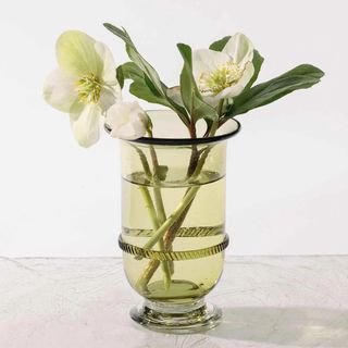 Banded Glassware Tall Vase
