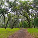 Sea Pines Forest Preserve
