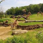 Dallas Zoo