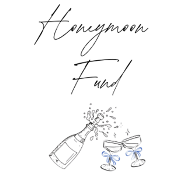 Our honeymoon fund
