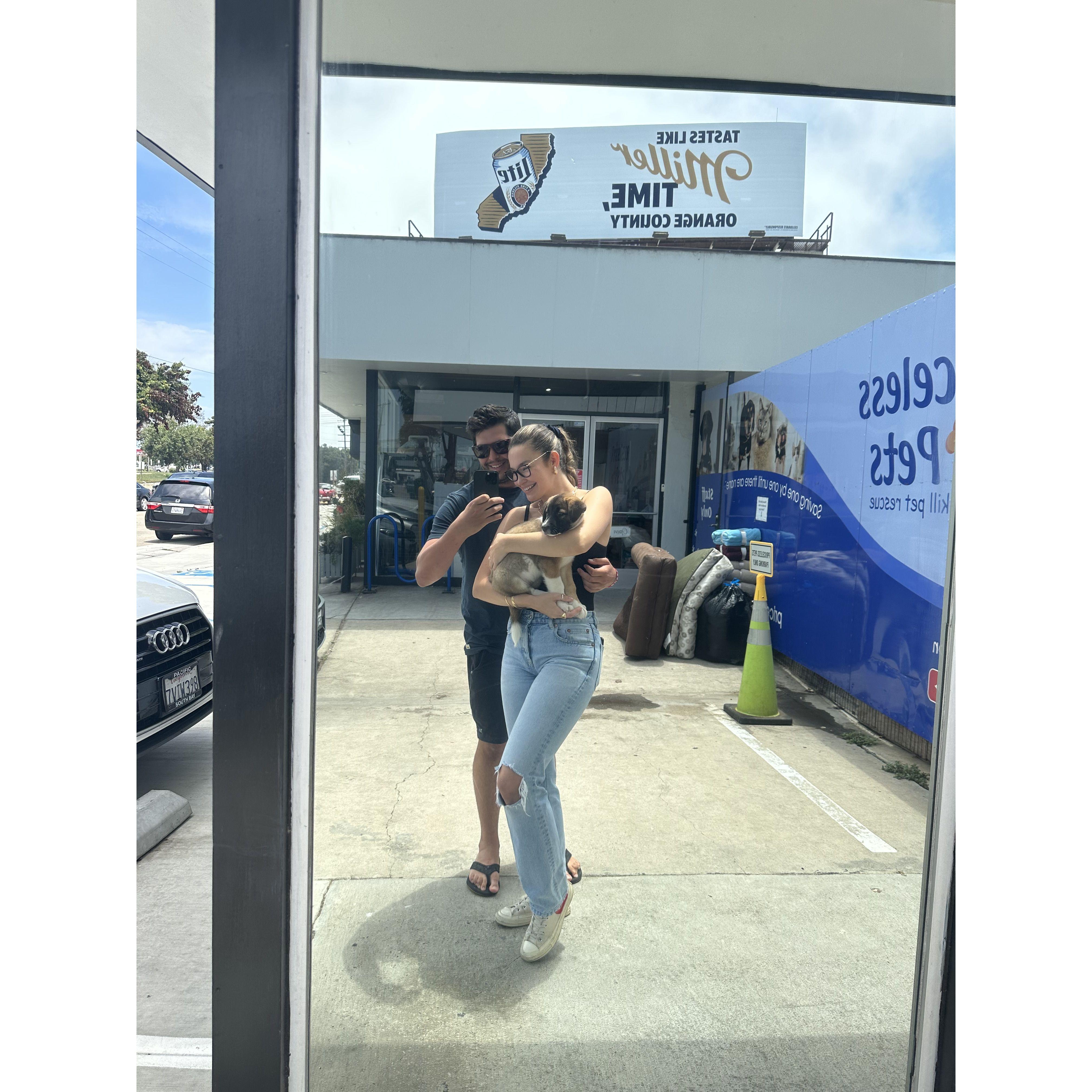 The day we adopted Bailey! (and Gavin asked Sopa to move in)