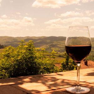 Wine Tasting in Europe