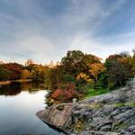 Central Park