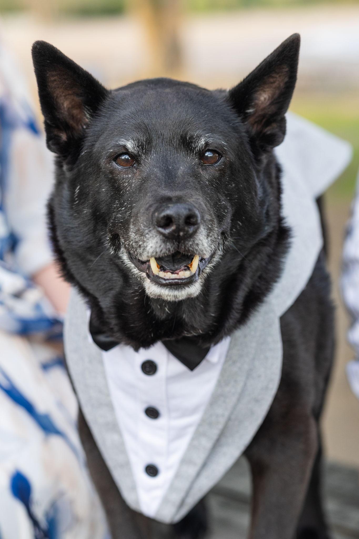 The Wedding Website of John Strader and Abigail Morton
