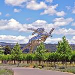 HALL Wines St. Helena