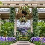 Longwood Gardens