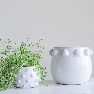 Raised Dots Terra-cotta Planter