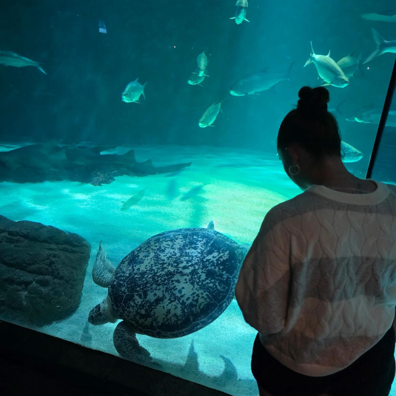 New Orleans Aquarium 2026