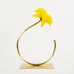 Vase 501 - Edging Over Vase - ACV Studio