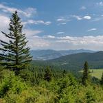 Hike the Rattlesnake