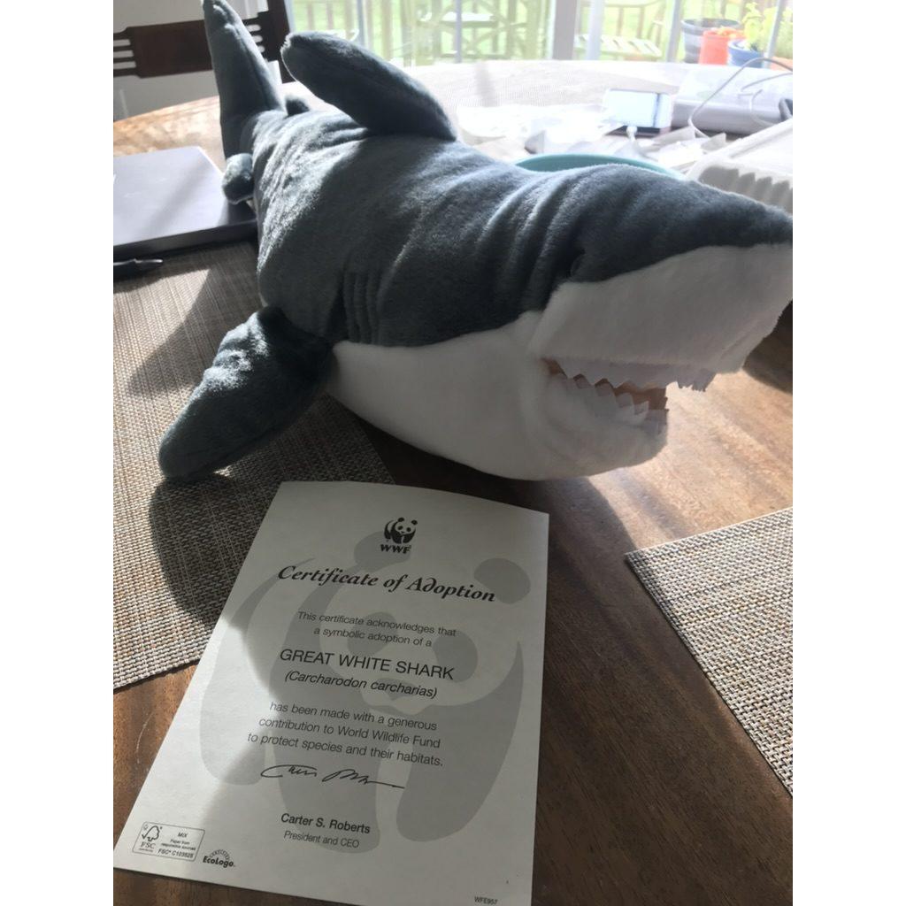 We're not really dog people. (Rhody adopted a shark for Joe's birthday.)
