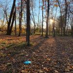 Pettibone Disc Golf Course