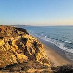 Torrey Pines State Nature Reserve
