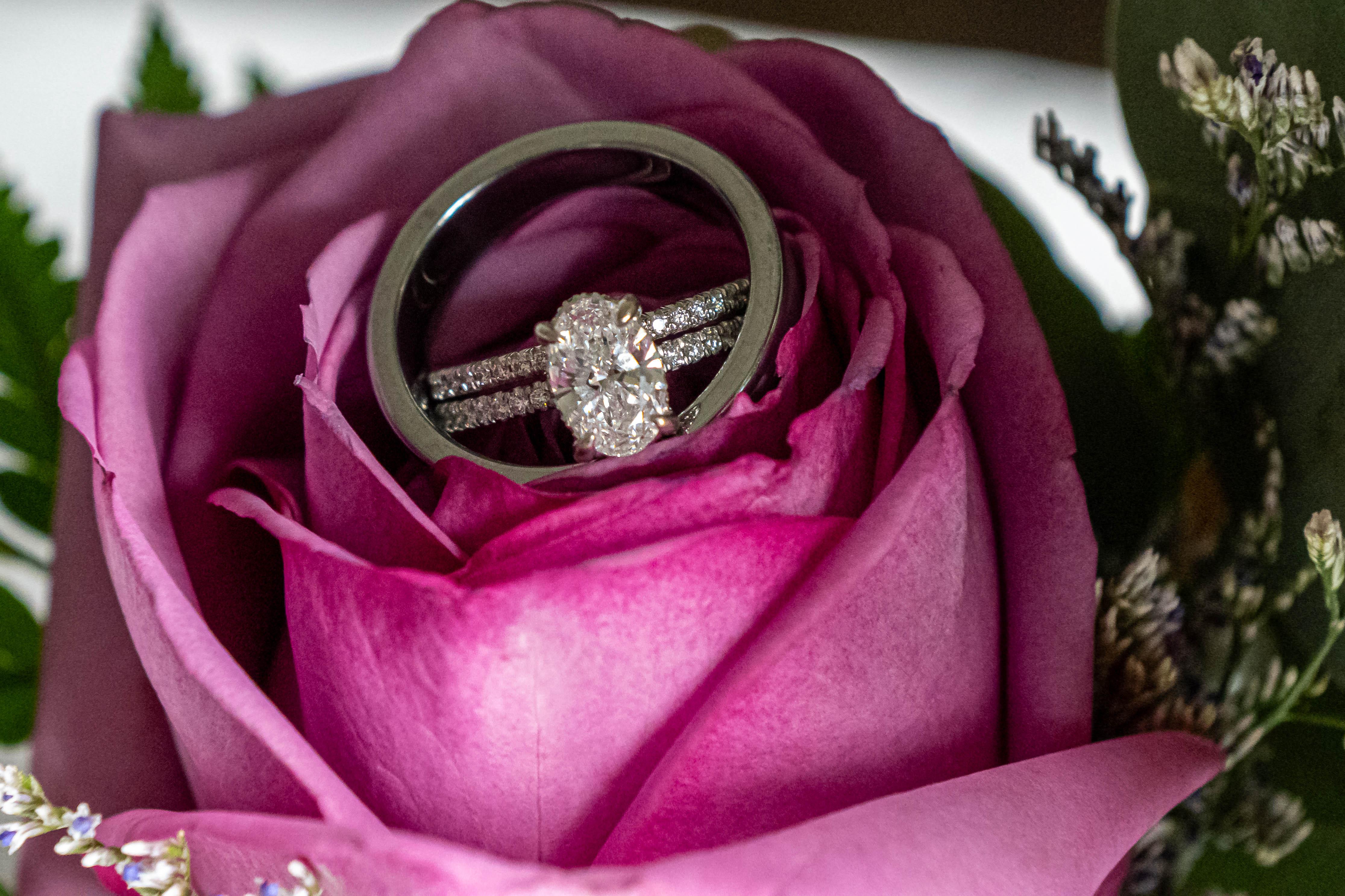 The Wedding Website of Isaiah Harrison and Vanessa Wapples-Harrison