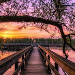 Tifft Nature Preserve