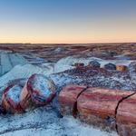 Petrified Forest National Park