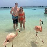 Flamingo Beach