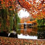 Boston Public Garden