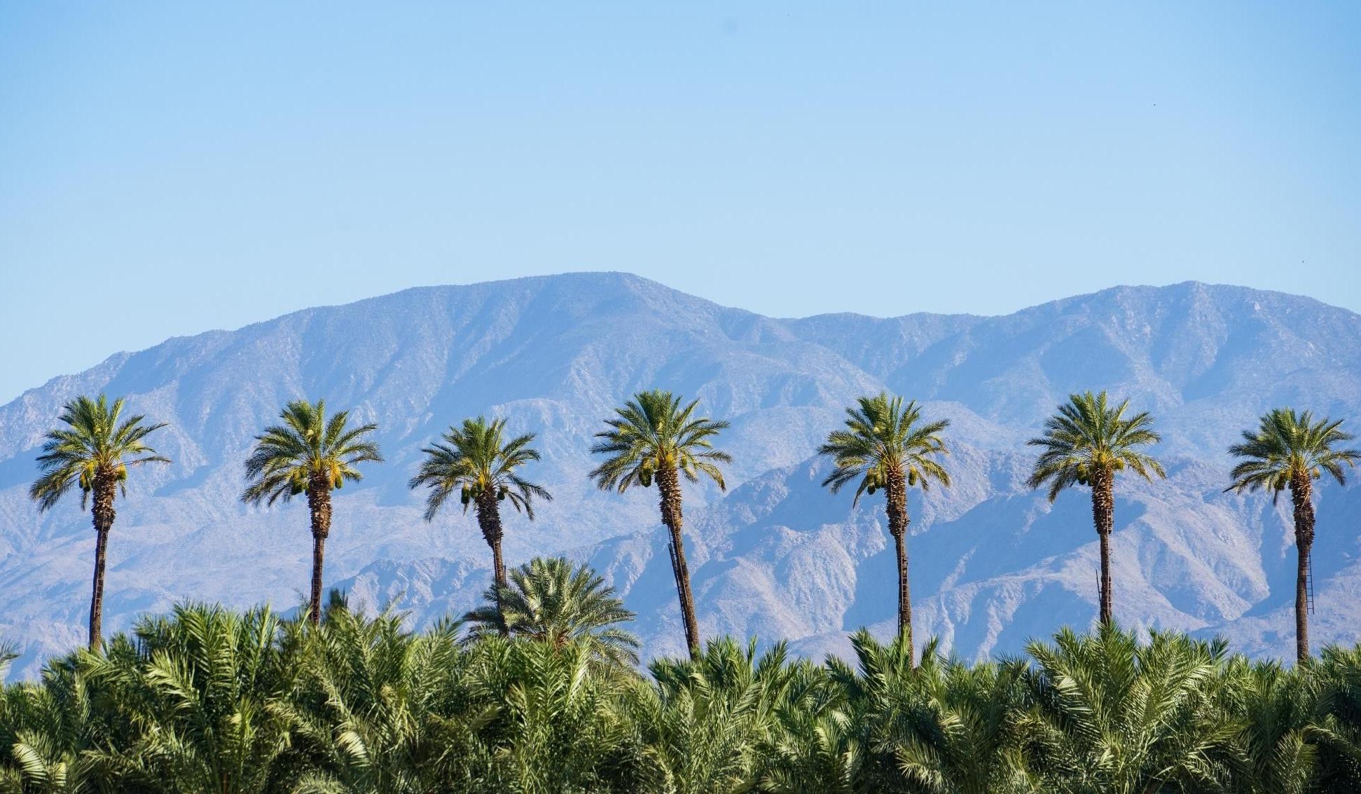 The Wedding Website of Joe Whalen and Alison Fort