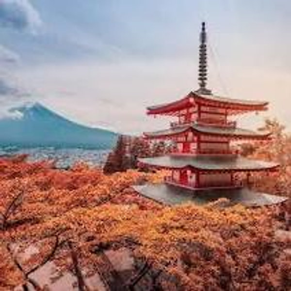 Honeymoon - Japan