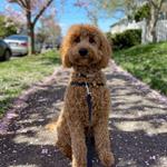 Parks and Activities