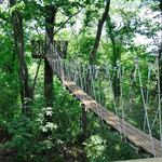 Red Mountain Park