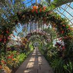 Bronx Botanical Garden