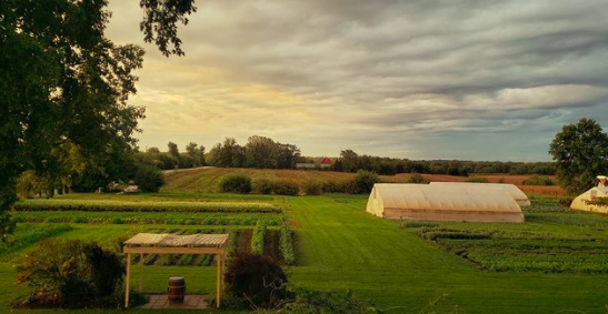 The Wedding Website of Sinead Forde and David Polanski